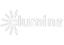 13-elumina
