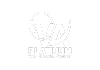 VA Platinum Logo